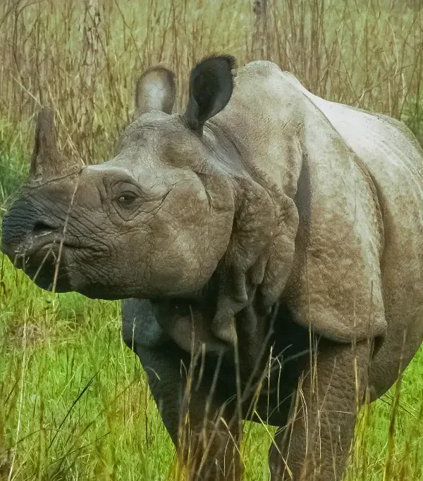 33721cd5849d7b55304638b0601b67298d0b31ef