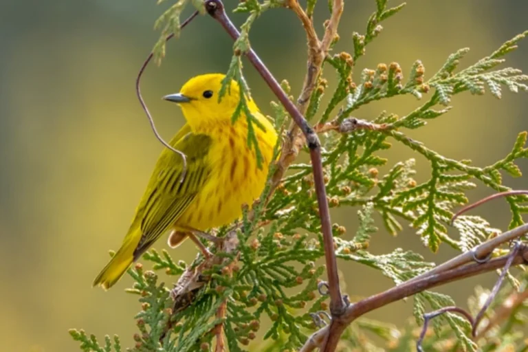 4fcd12e8058c487da3ef7649a8f62f73bbf4dc1e